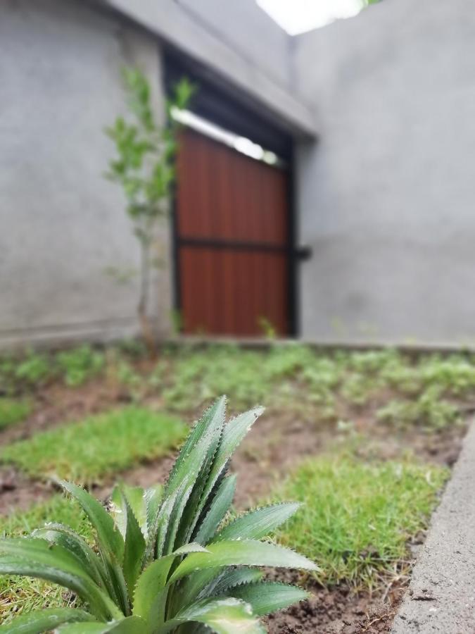 Ella Delightful Surround Homestay Kültér fotó