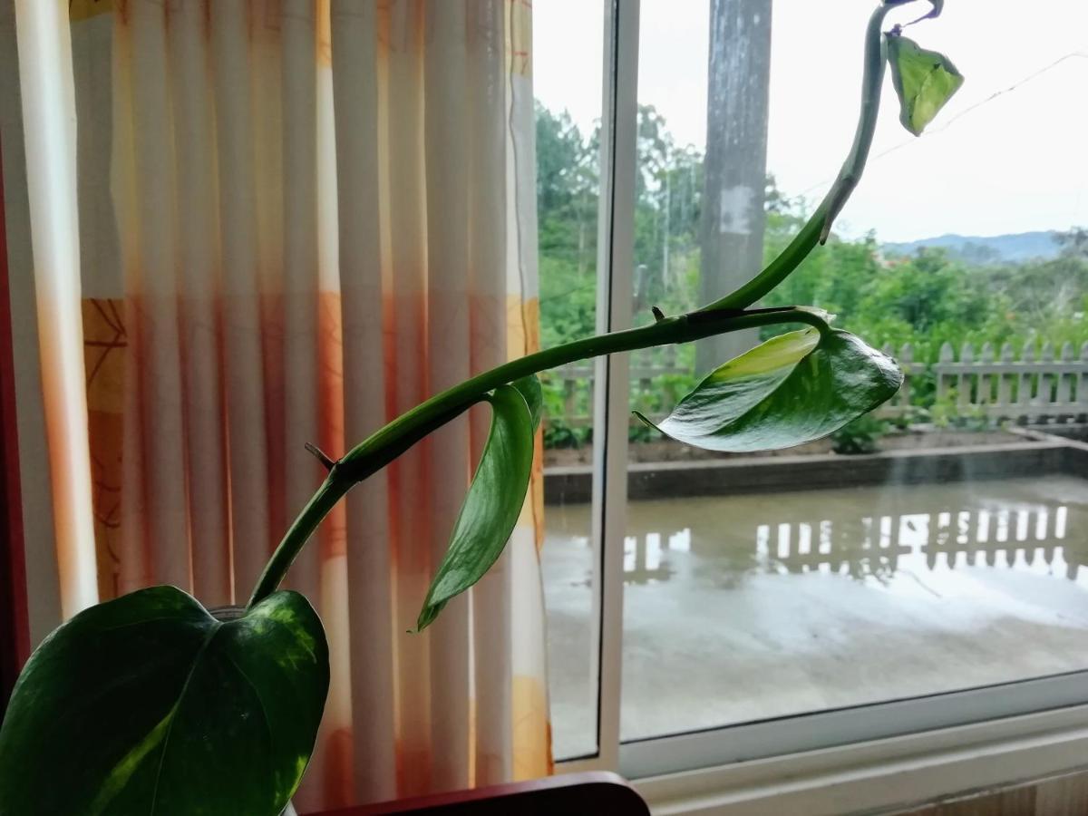 Ella Delightful Surround Homestay Kültér fotó