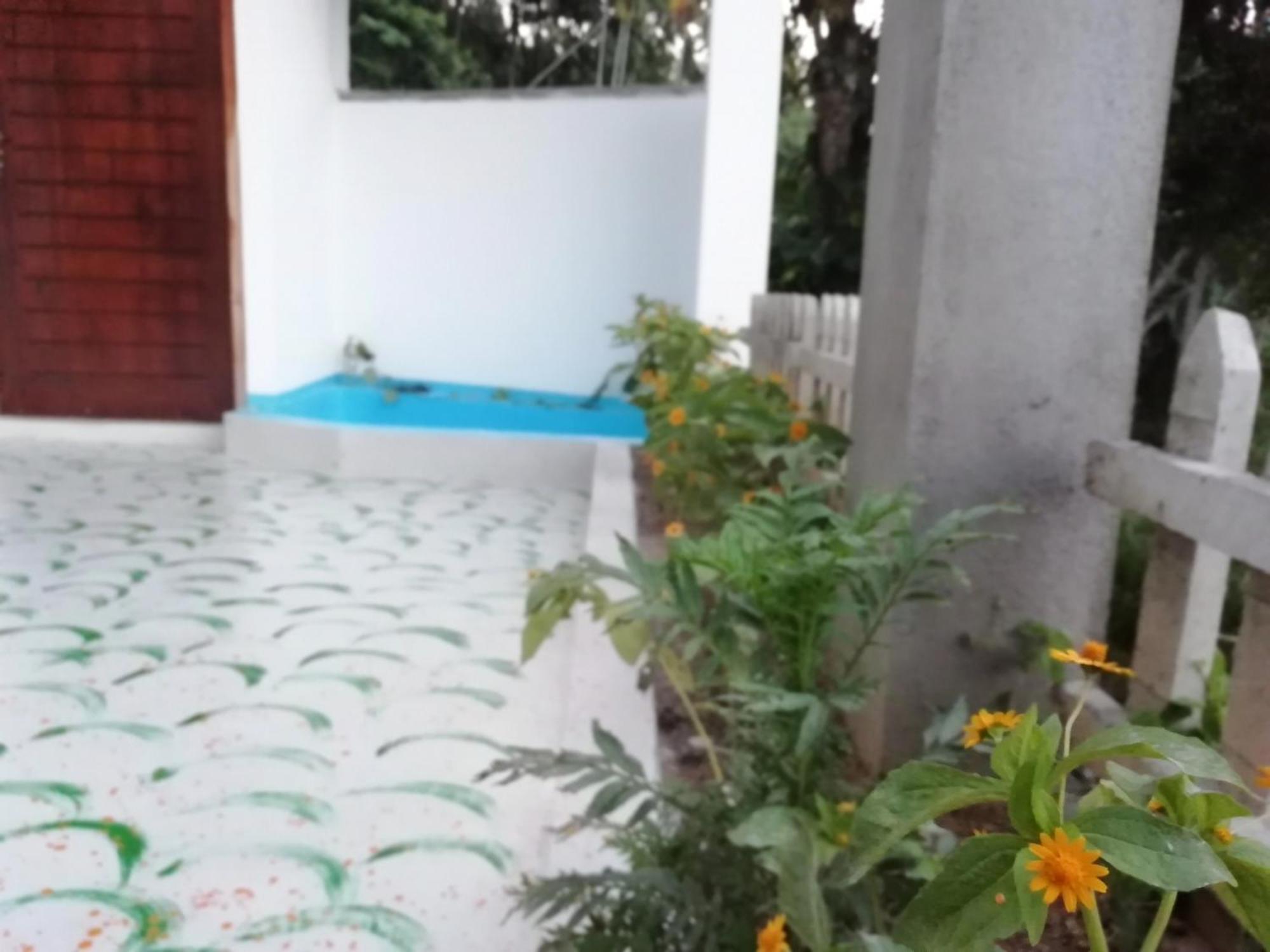 Ella Delightful Surround Homestay Kültér fotó
