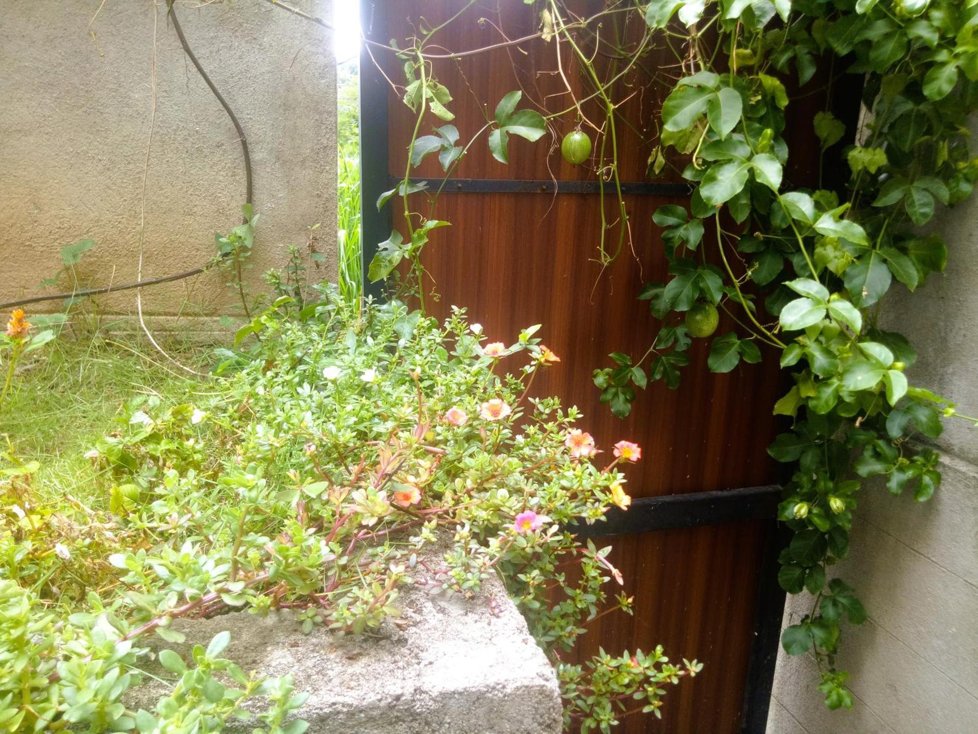 Ella Delightful Surround Homestay Kültér fotó